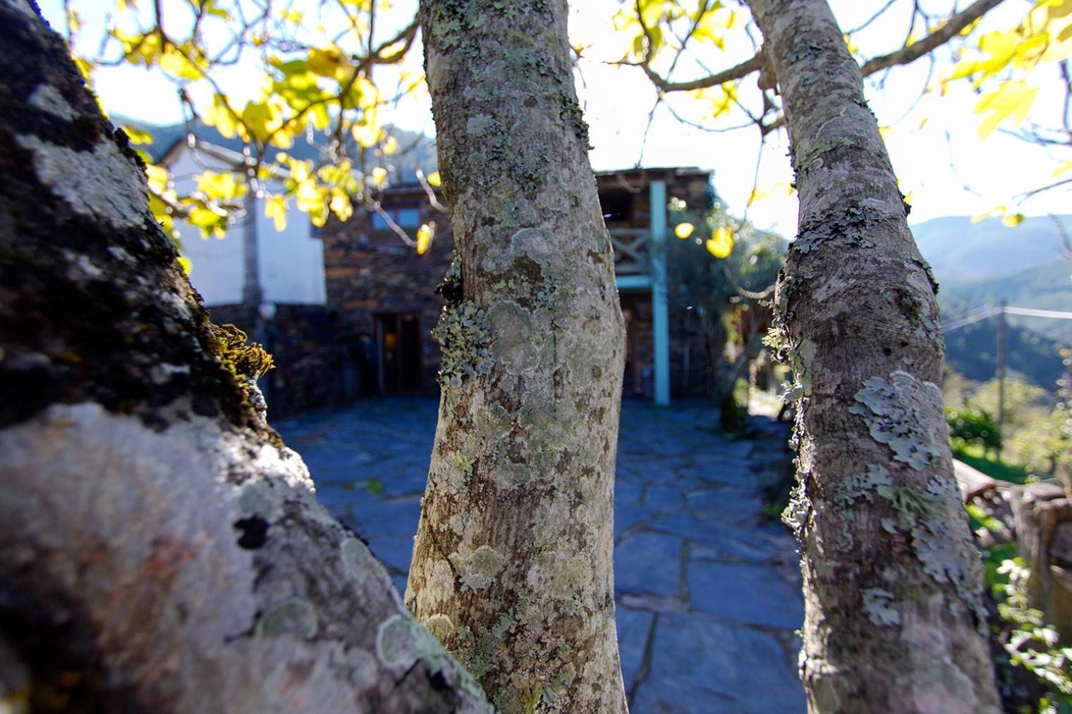 Casa Da Figueira - Rio Paiva Villa Arouca Exterior photo